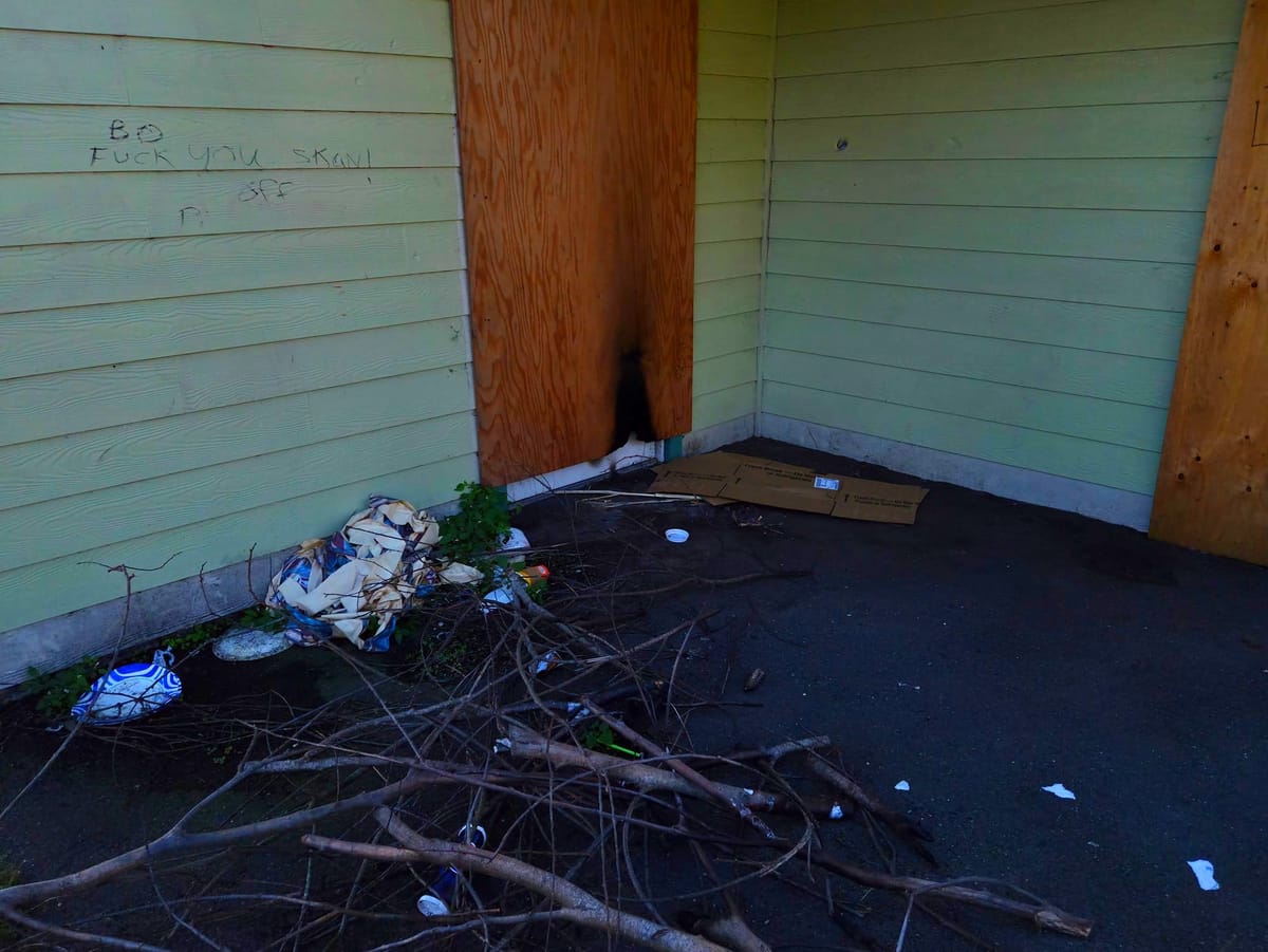 Patriot Premium | Gitlin Unfiltered: Crescent City’s Blight Backlash - Why Reporting Trash Issues Now Requires ‘Permission’