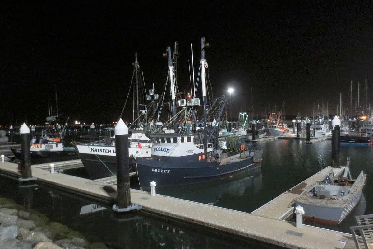 When Oversight Becomes Obstruction: The Harbor’s Financial Precipice