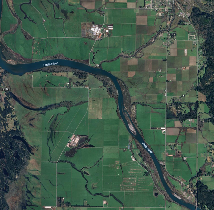 OPINION: The Latest Environmental Witch Hunt: Smith River Lily Bulb Farmers in the Crosshairs