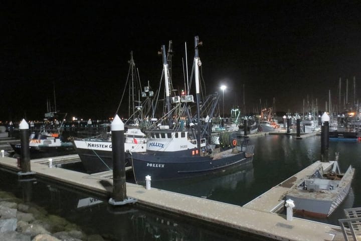 When Oversight Becomes Obstruction: The Harbor’s Financial Precipice